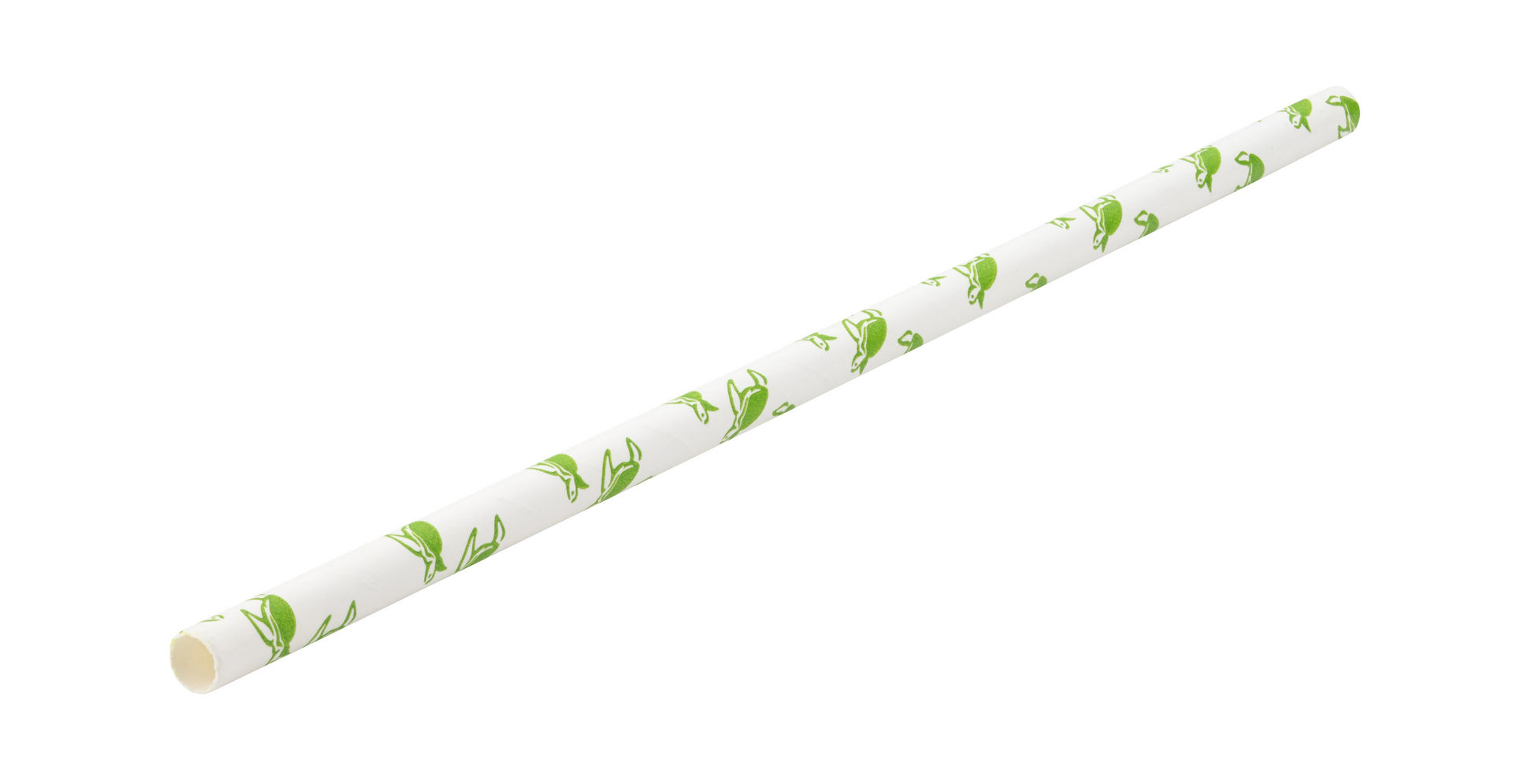 Paper Turtle Straw 8